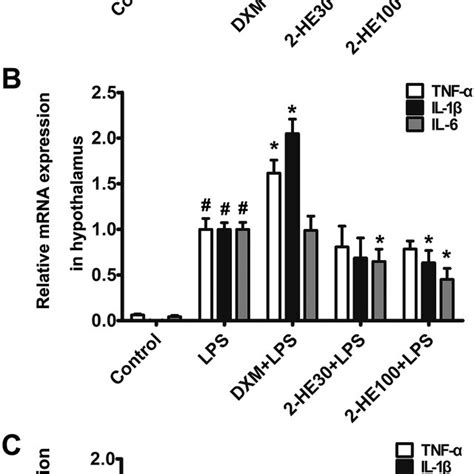 Effects Of 2 He On Mrna Expression Of Tnf α Il 1β And Il 6 In The Download Scientific Diagram