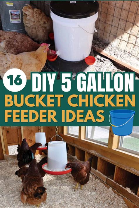 16 Diy 5 Gallon Bucket Chicken Feeder Ideas