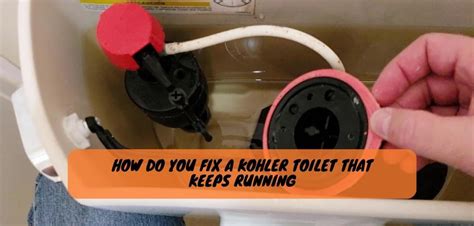 How to Replace Kohler Toilet Flapper? The Easy Guide!