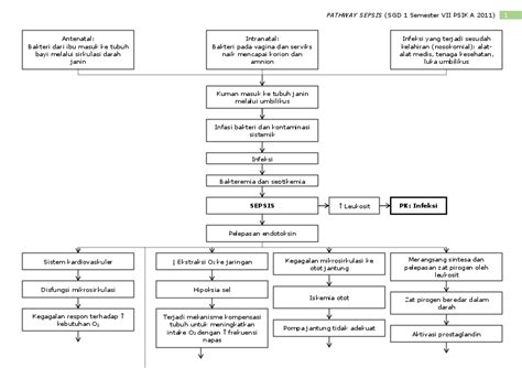 Pdf Woc Pathway Sepsis