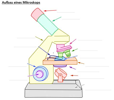 Aufbau Funktionen Eines Mikroskopes Diagram Quizlet