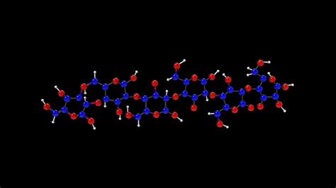 3D Cellulose Structure Model - TurboSquid 2195182