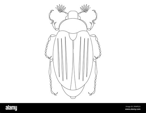 Blanco Y Negro Del Escarabajo De Mayo Clipart Vector Aislado En Fondo