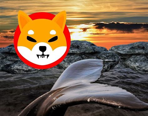 Another Shiba Inu Whale Is Born Buys 850 Billion SHIB Coins Worth 36