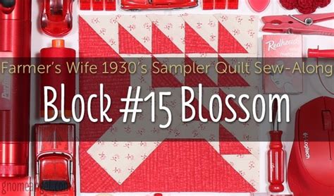 Blossom Is Block Of Farmer S Wife S Sampler Quilt Gnomeangel