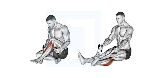 Posterior Tibialis Stretch Guide Benefits And Form