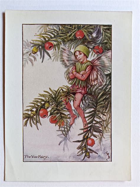 Yew Flower Fairy Print Flower Fairy Prints