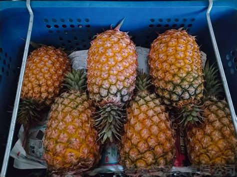 Golden Diamond Pineapple