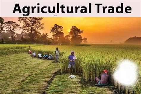 Understanding Agricultural Trade Mandigram Blog's