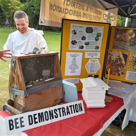 Newbury & District 730: Basingstoke to Frimley Transit Route 28