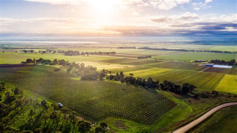 Please The Palate | Get to Know the Australian Wine Regions of Victoria