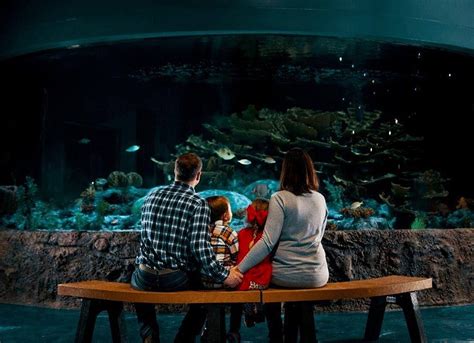 Living Shores Aquarium In New Hampshire Reopens in May