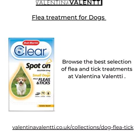 PPT - Flea treatment for Dogs PowerPoint Presentation, free download ...