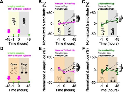 Figures and data in Homeostatic regulation through strengthening of ... 