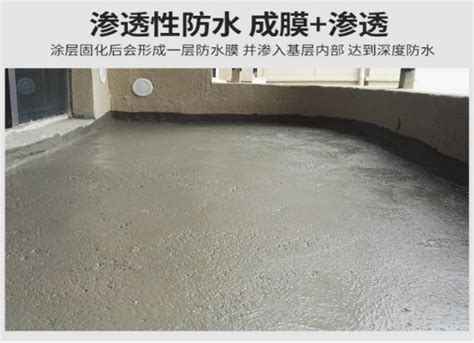 Js防水涂料 聚合物水泥基防水涂 详细规格参数