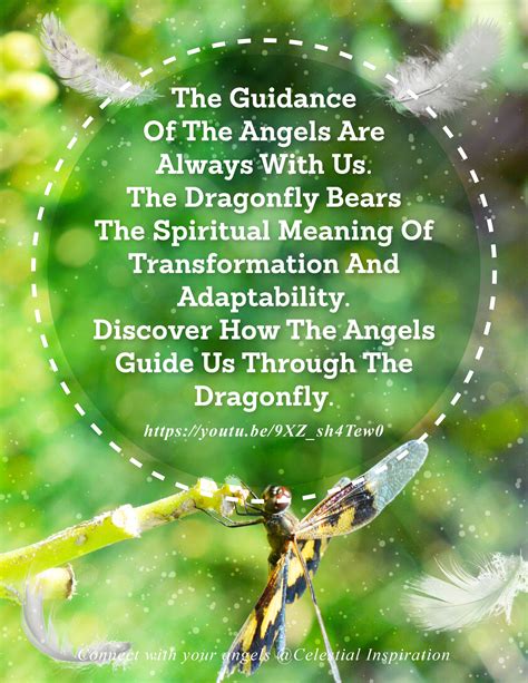 Spiritual Meaning of Dragonfly | Spiritual meaning, Spirituality, Dragonfly