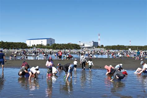 潮干狩り／ふなばし三番瀬海浜公園｜イベント｜千葉県公式観光サイト ちば観光ナビ