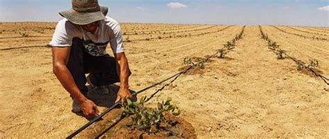 Medición del agua subterránea empleada en zonas agrícolas áridas