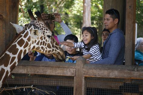 Events at the Dallas Zoo