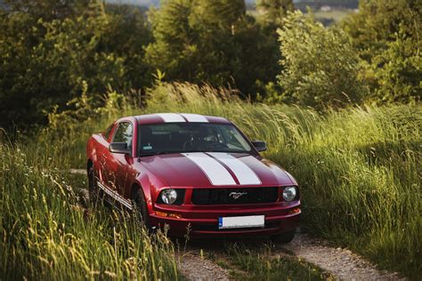 Czerwony Ford Mustang Auto Do ślubu Gorlice