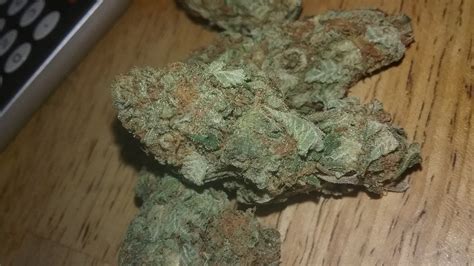 Ghost OG aka Ghost OG Kush Weed Strain Information | Leafly