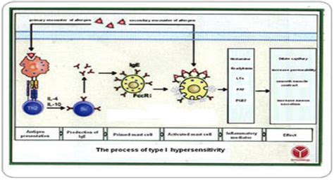 Download Free Medical Allergens PowerPoint Presentation