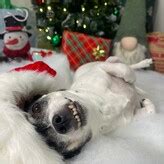 Eila Adams Nude OnlyFans Leaks Fappening FappeningBook