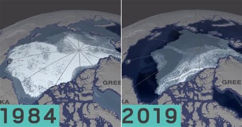 Thickest Sea Ice In Arctic Ocean Has Lost 95 Of Its Mass In 35 Years