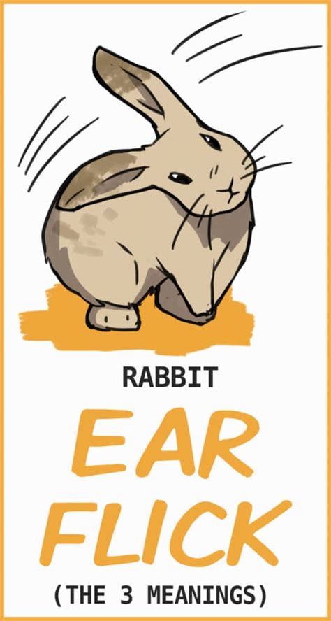 Rabbit Ear Flicks Understanding Bunny Ear Positions