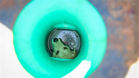 The ups lubbock tx facility just found a package from 1995 39