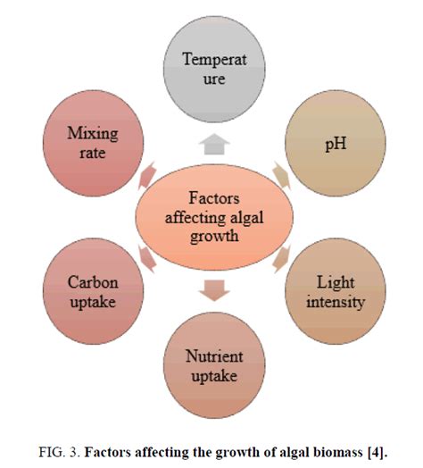 A Review On Harvesting And Lipid Extraction Methods For Biodiesel