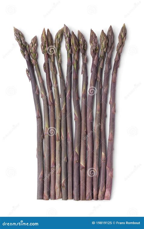 Purple Asparagus Stock Image Image Of Studio Vertical 19819125