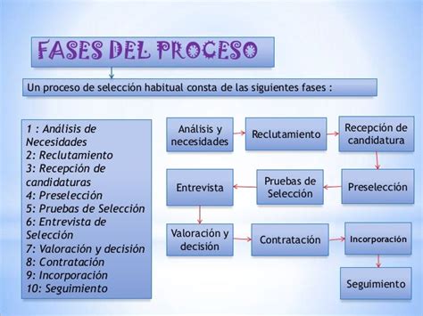 Fases Del Proceso De Selección Y Contratación