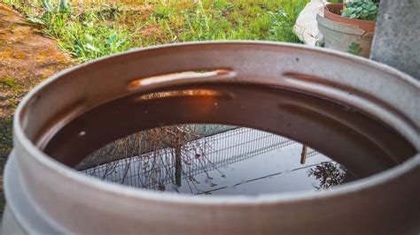 Hay M S De Mil Casos Acumulados De Dengue En Puebla Ambas Manos