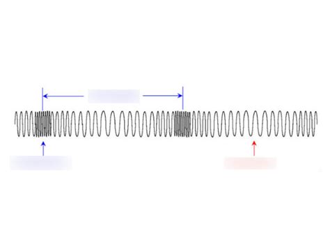 Draw and label a diagram of a compressional wave. Diagram | Quizlet