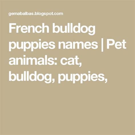 French bulldog puppies names | Pet animals: cat, bulldog, puppies ...