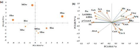 Applied Sciences Free Full Text Assessment Of Bioactive Phenolic