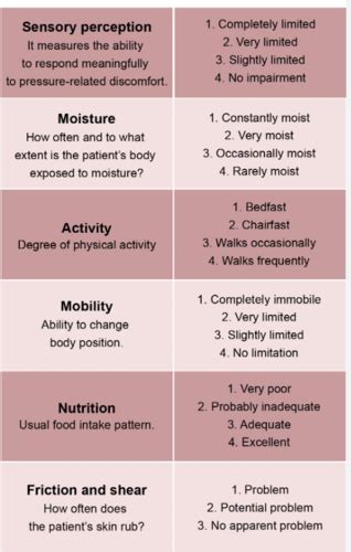 Immobility Med Surg Test 3 Flashcards Quizlet