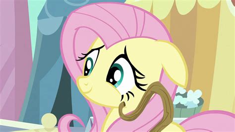 Image - Fluttershy cute face S3E2.png - My Little Pony Friendship is Magic Wiki