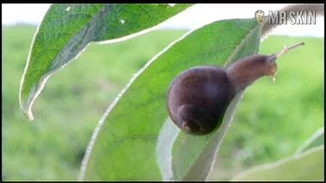 See Ayako Morino Nude Ayako Morino Naked Mr Skin