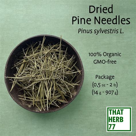 Dried Pine Needles Pinus Sylvestris Best Quality Organic Gmo Free