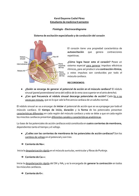 SOLUTION Principios Basicos Fisiolog A Del Electrocardiograma Studypool