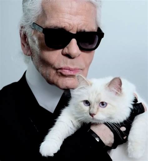 Karl Lagerfeld y Choupette, la esencia del gato más chic | BellezaPura