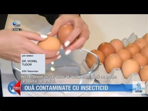 Stirile Kanal D 10 01 2019 Oua Contaminate Cu Insecticid Editie