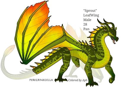 Leafwing Base By Peregrinecella On Deviantart Wings Of Fire Dragons