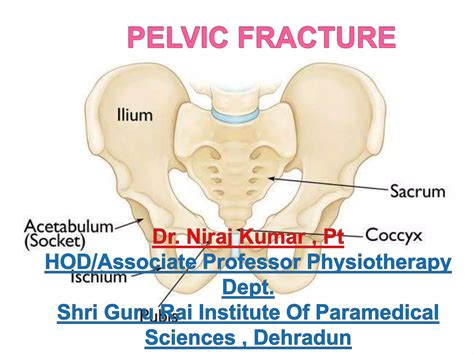 Pelvic fracture | PPT