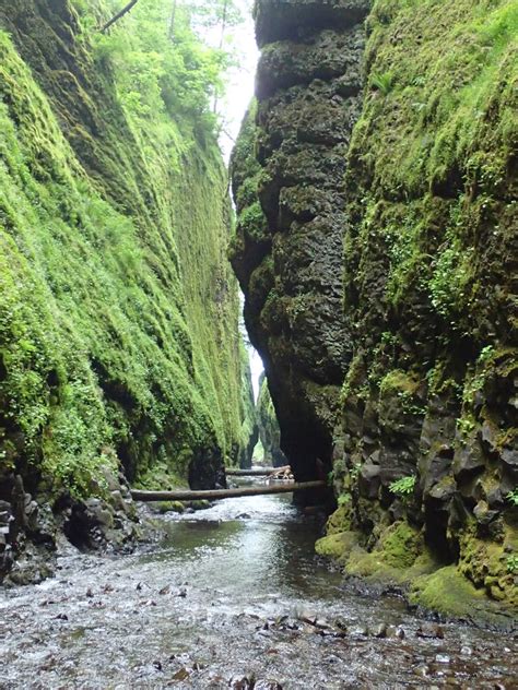 Oneonta Gorge, Oregon - Hiking up the Oneonta Creek