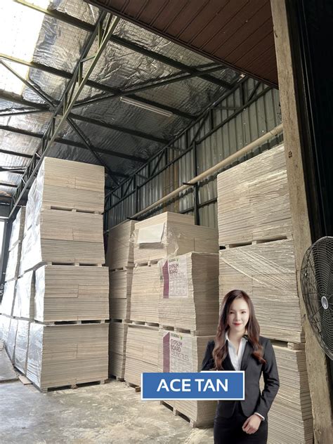 Ace Tan Realty Mount Austin Single Storey Terrace Factory For