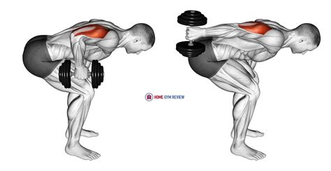 dumbbell standing bent   arm triceps extension home gym review