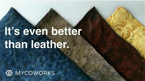 X without Y. These days, the most popular business… | by Eric Matzner ...